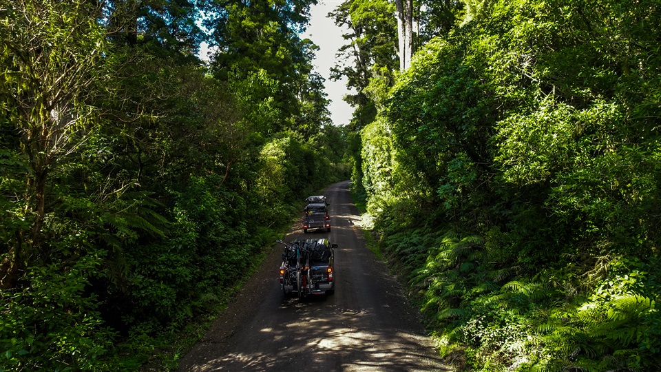 kiwi camping pureora forest park trip