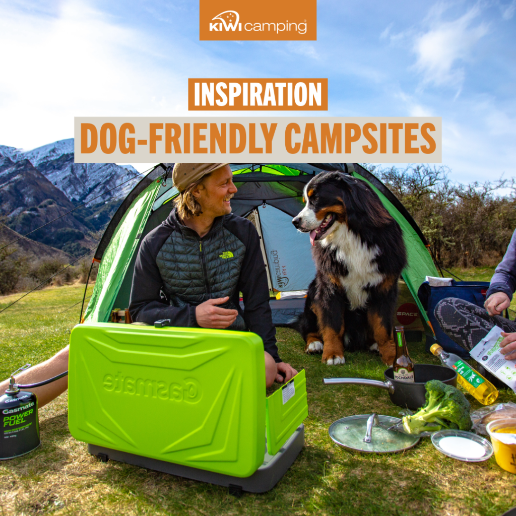 kiwi camping dog friendly websites